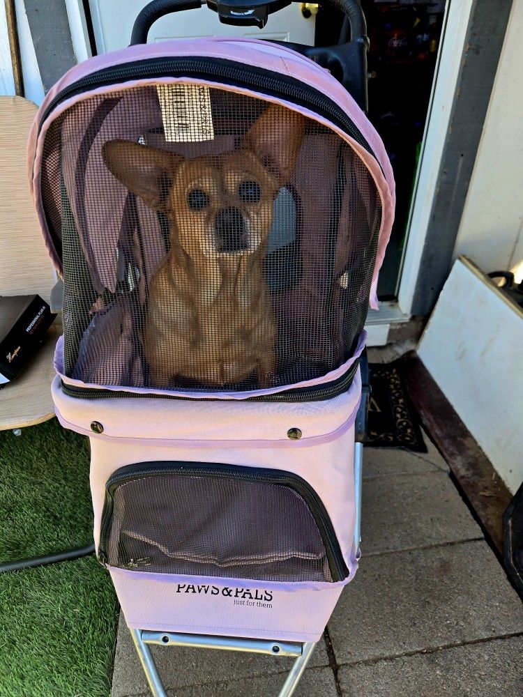 Dog Stroller/ Carreta Pa 🐕 Perros