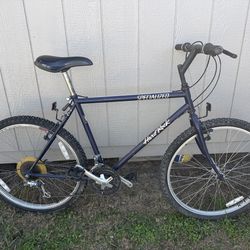 Old Specialized Hard Rock Cruz