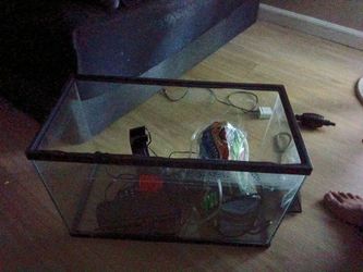10 gallon fish tank