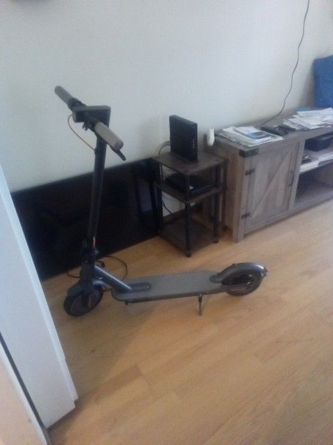 Electric Scooter 