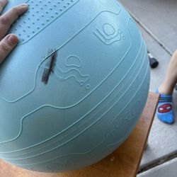 Exercise Ball