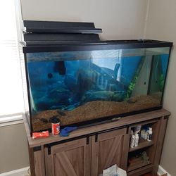 55 Gallon Tank And Stand And Extras