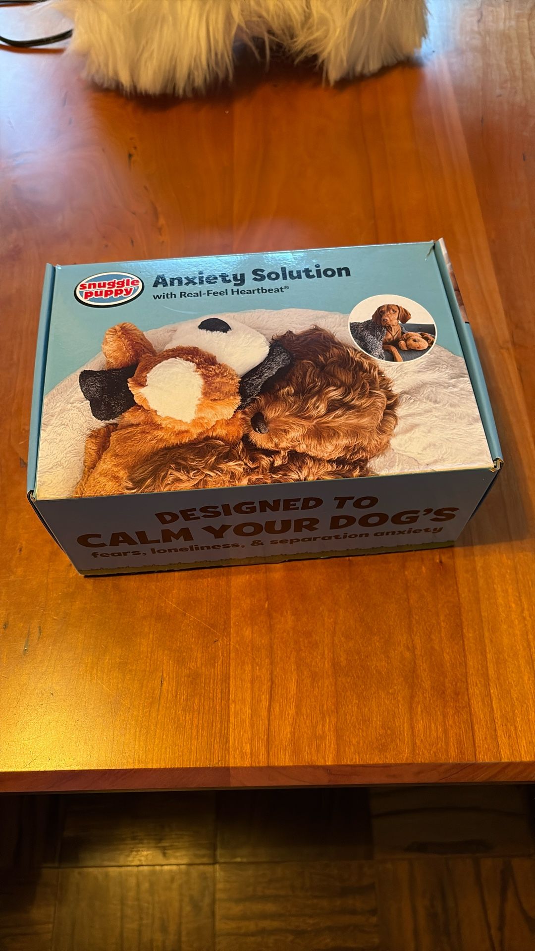 Anxiety Solution to calm your dog
