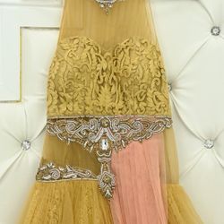 Pakistani indian dress