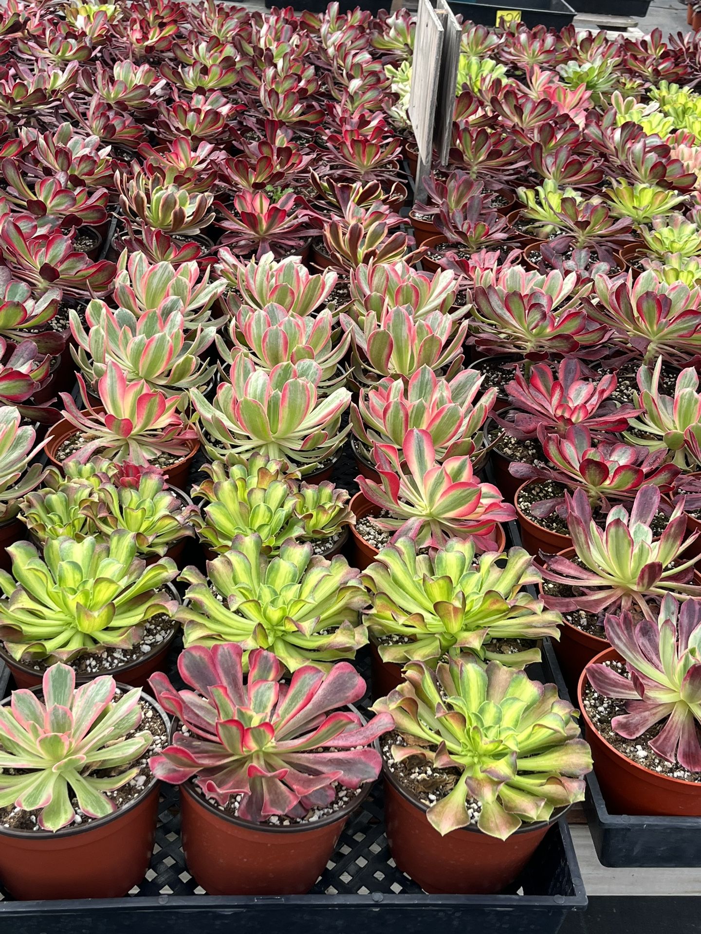 Last Day Of 15% Off On Everything In The Nursery