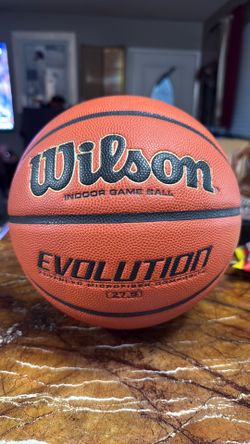 Wilson evolution basketball.