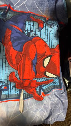 One spider man for 2.00
