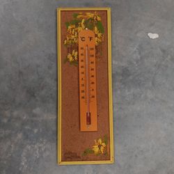 Outdoor Ambient Temperature Thermometer 