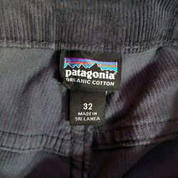Patagonia Corduroy Pants