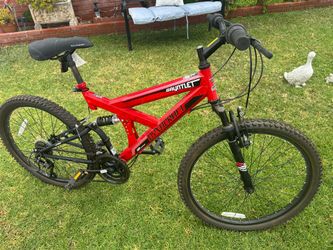 Bicycle schwinn