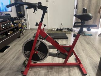 Perpetual bike