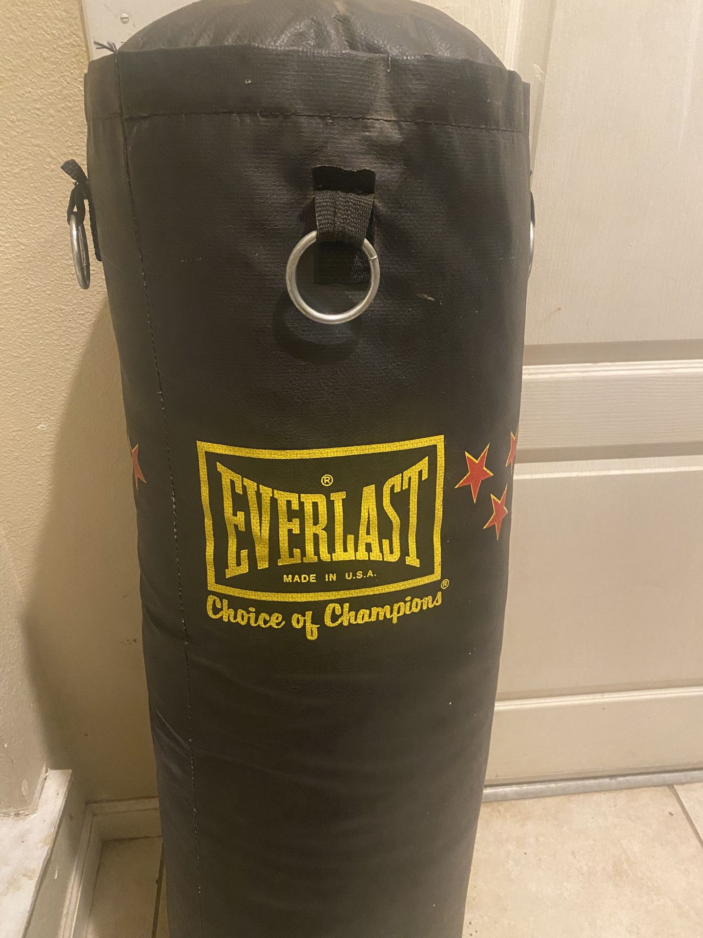 Punching Bag Everlast