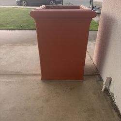 Big Plant Vase