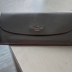 Coach Metallic Slim Envelope Wallet 