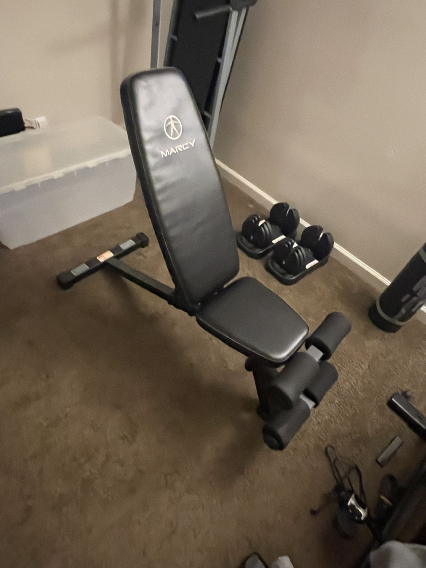 Workout Bench