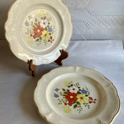 Two Vintage Salem China “Meadow” Textured Stoneware Dinner Plates 