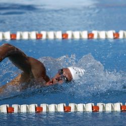 Maestro de Natación , Swim Instructor 