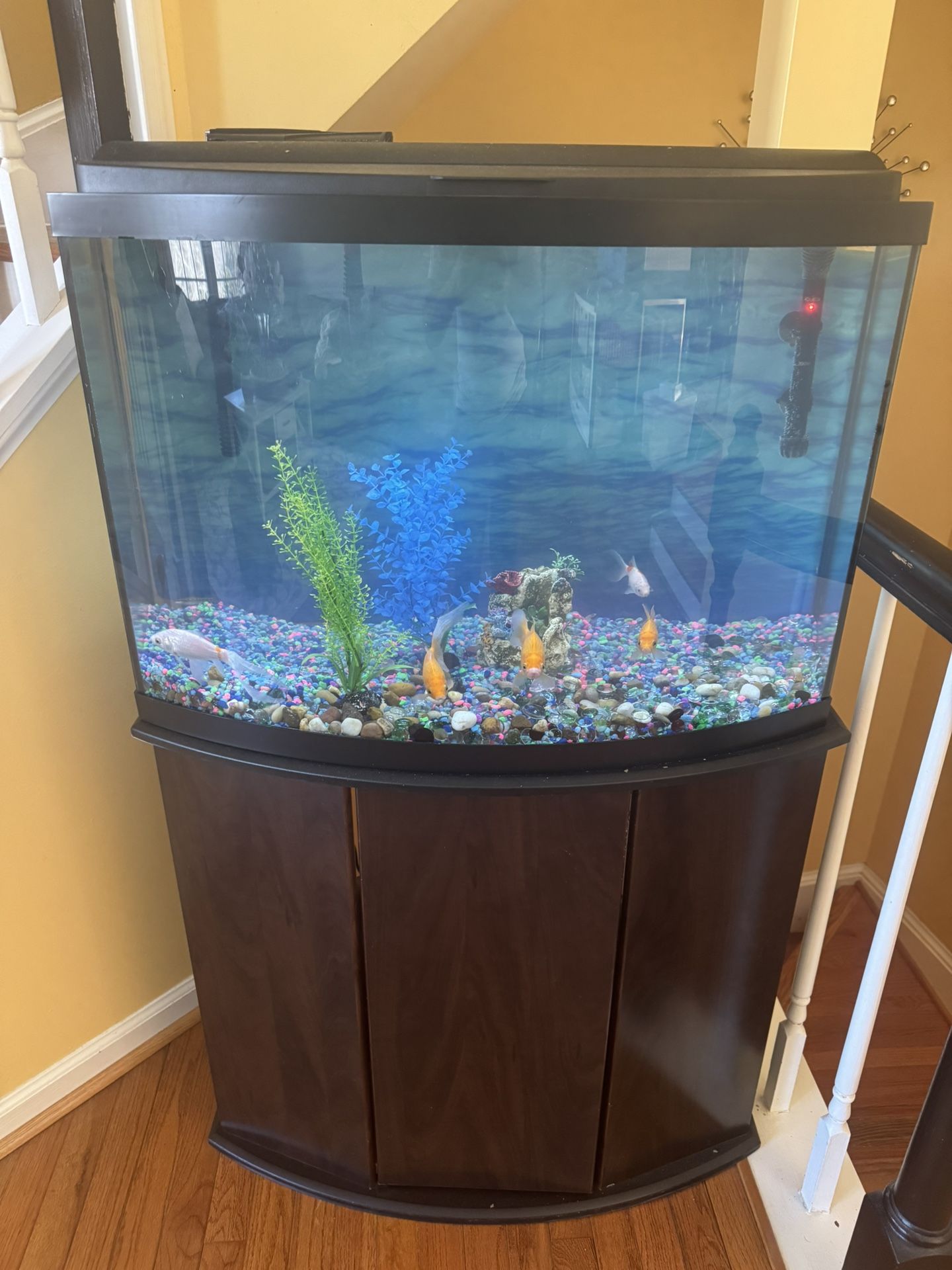 Fish Tank 45 Gallons