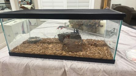Lizard/snake cage