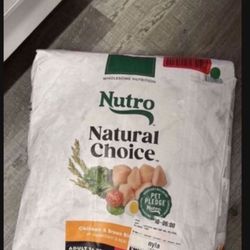 dog food 