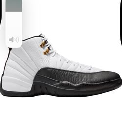 Jordan 12