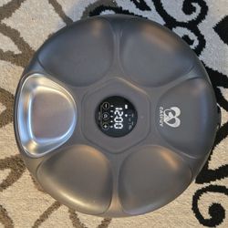 Small Dog Or Car Dish W/timer