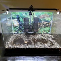 15 Gallon Rimless Perfect Fish Tank Set!
