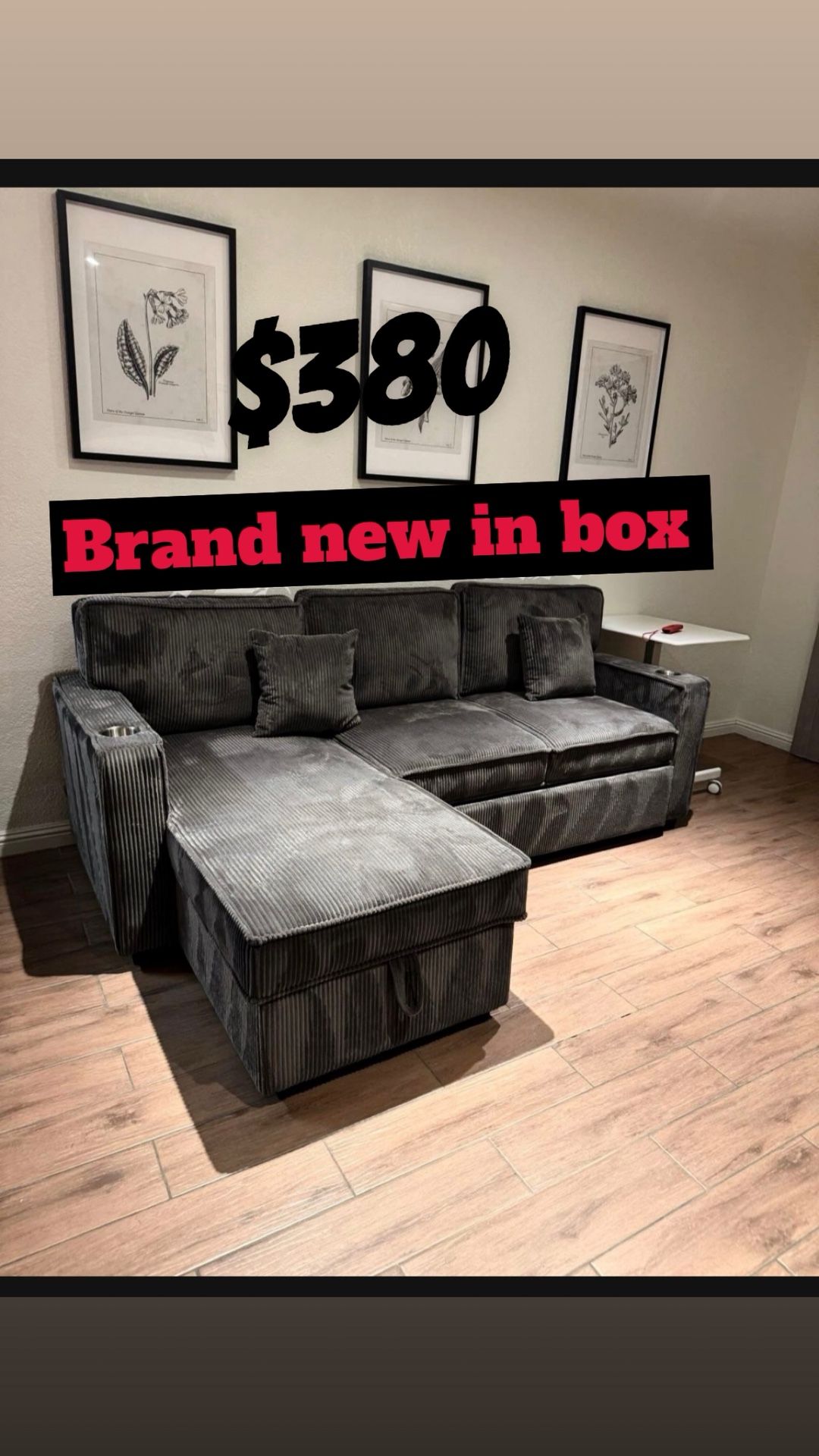 Brand New Pullout Sofa 
