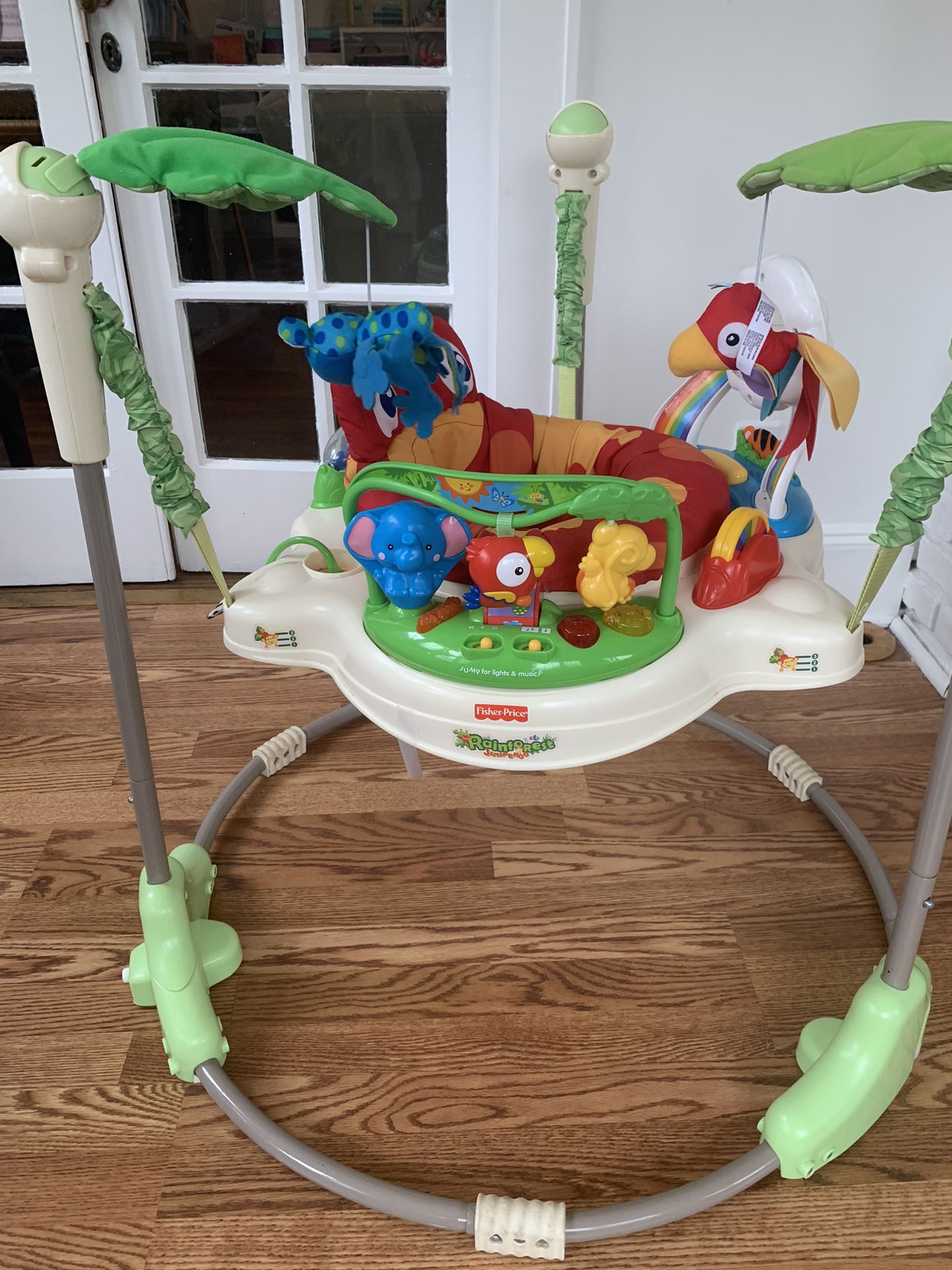 Fisher Price Baby Jumperoo