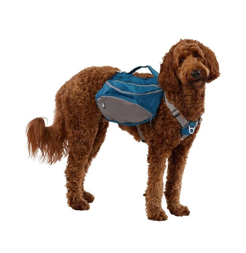 Large DELUXE Dog Harness With 2 Back Packs Turquoise Rip Stop D-rings Padded Mesh For Comfort Durability