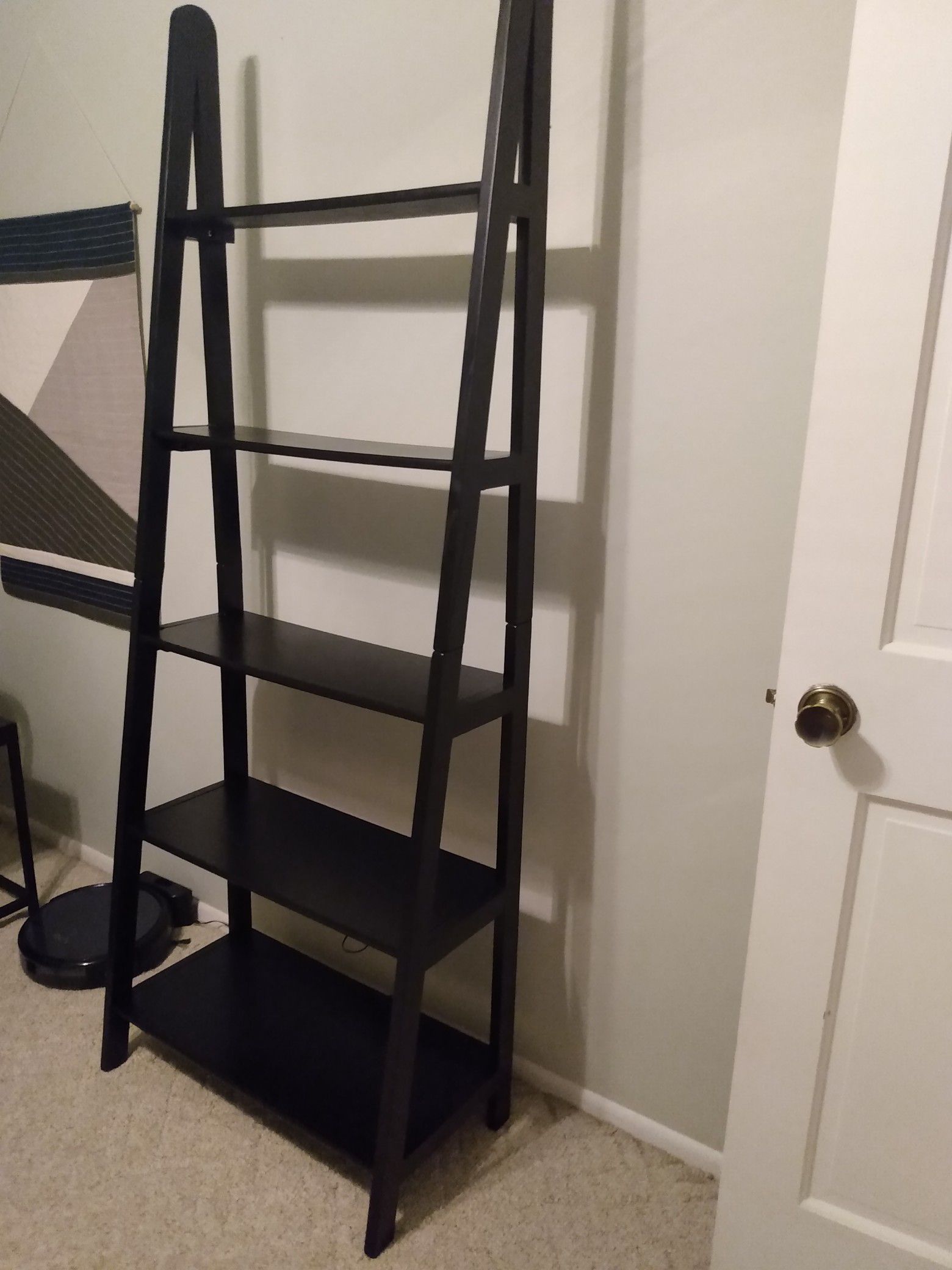 Ladder Book shelf
