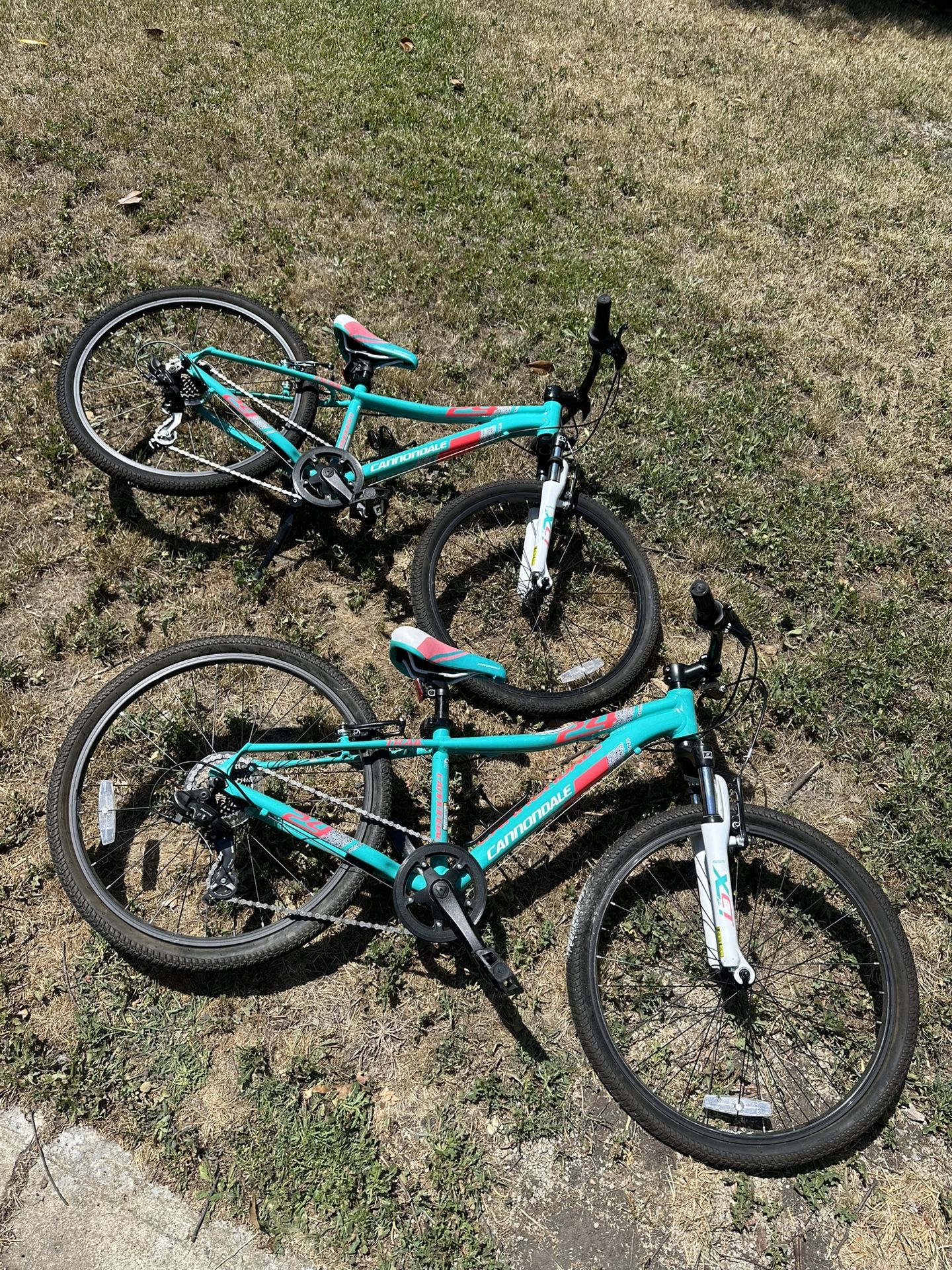 2 24” $150 Each Cannondale Kids Bicycles bicycle bike