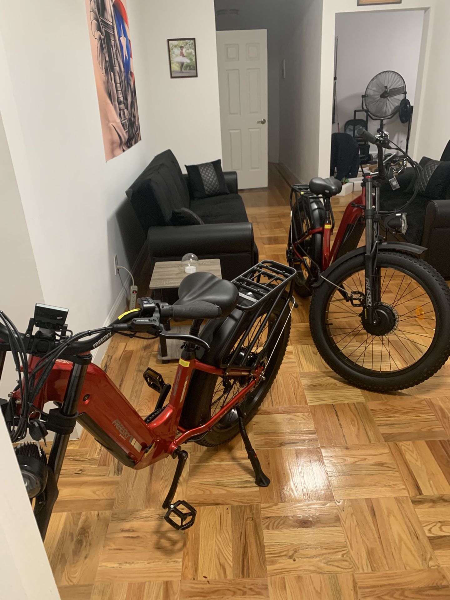 freesky e bike