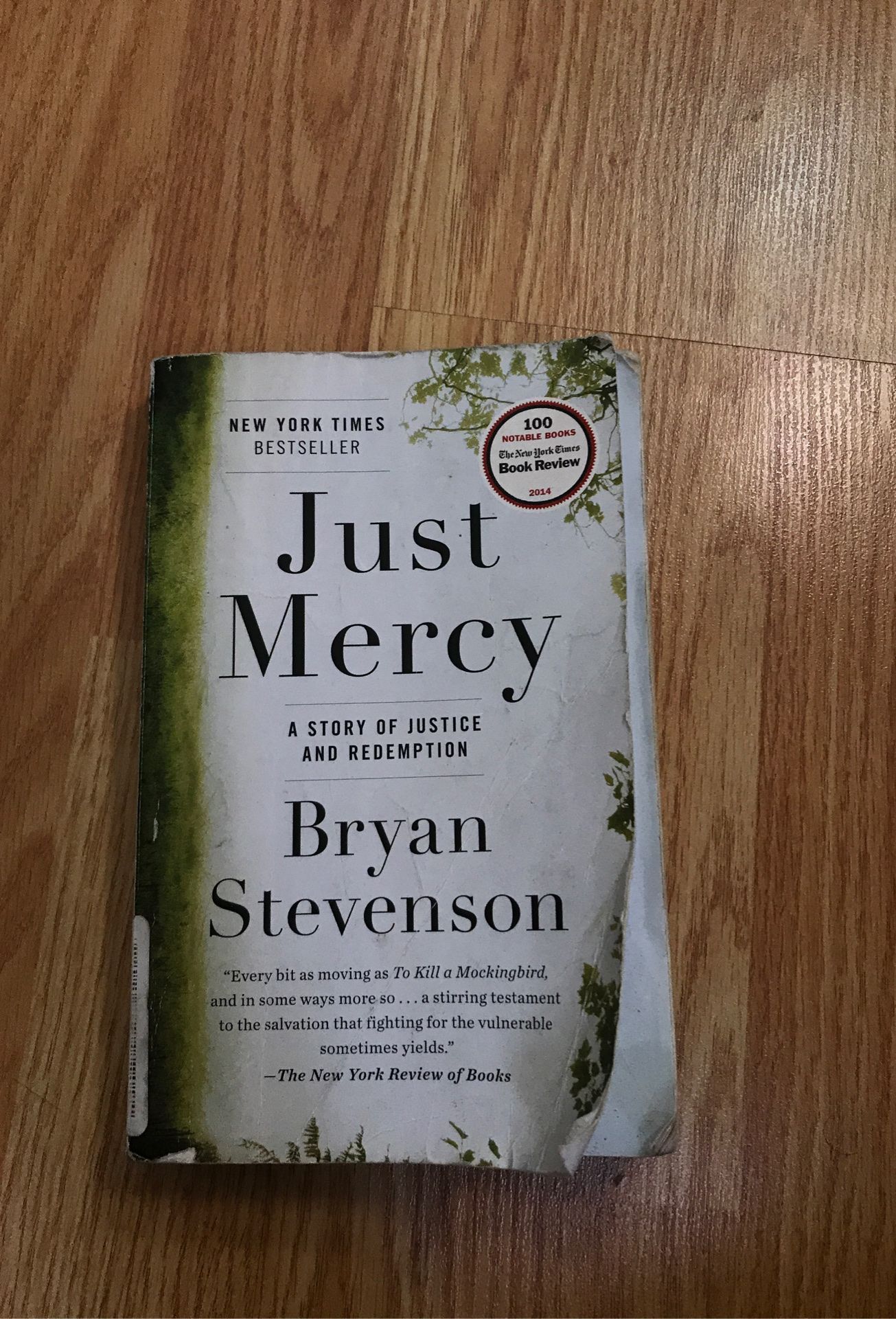 Just Mercy book by Bryan Stevenson