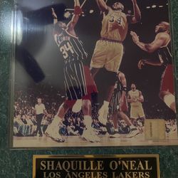 Los Angeles Lakers (Shaquille O’Neil)