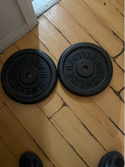 25 LB plate