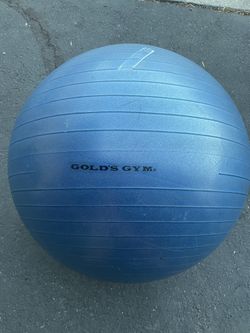 Gold's Gym 65cm Anti-Burst Exercise Body Ball