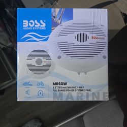 Boss Audio System