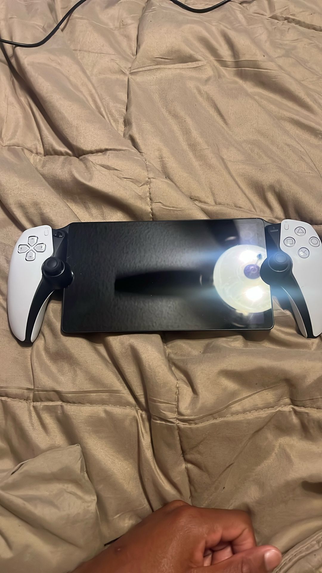 PlayStation Remote Play