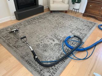 Carpet * Rug * Couch * Cleaning