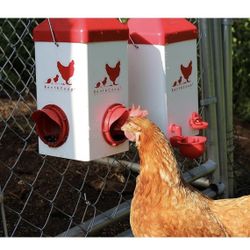  Chick2Chicken 5lb 2-Port Feeder and 1-Gal Small Cage Waterer Set - Suitable for Chicks, Chickens, Pigeons, Quail, Game Birds