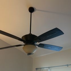 Ceiling Fan With Light!