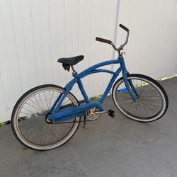 Fuzzy Beach Cruiser