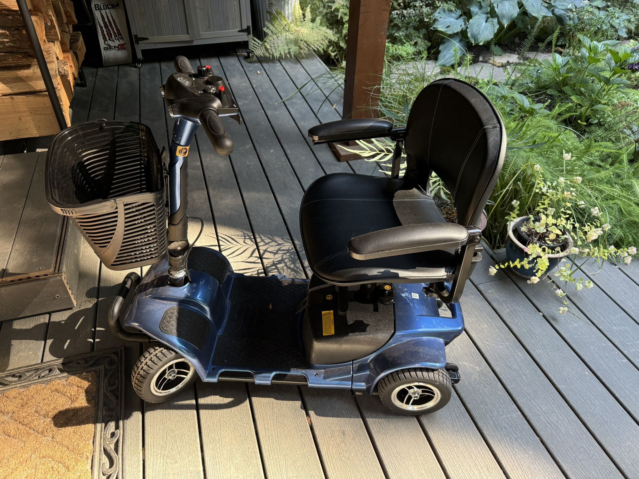 Electric Mobility Scooter