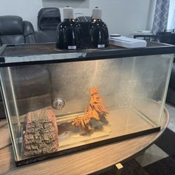 Snake/reptile Enclosure Full Setup