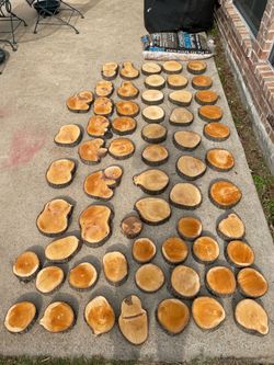 Bradford Pear Wood Live Edge Slice Cookie