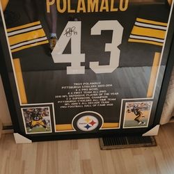 Troy Polamalu Signed Framed Jersey