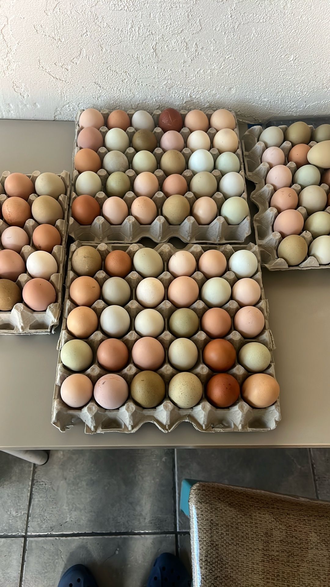 Hatching Eggs