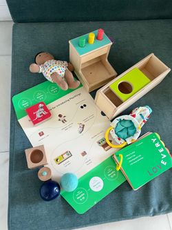 Lovevery The Thinker Play Kit month 11-12+