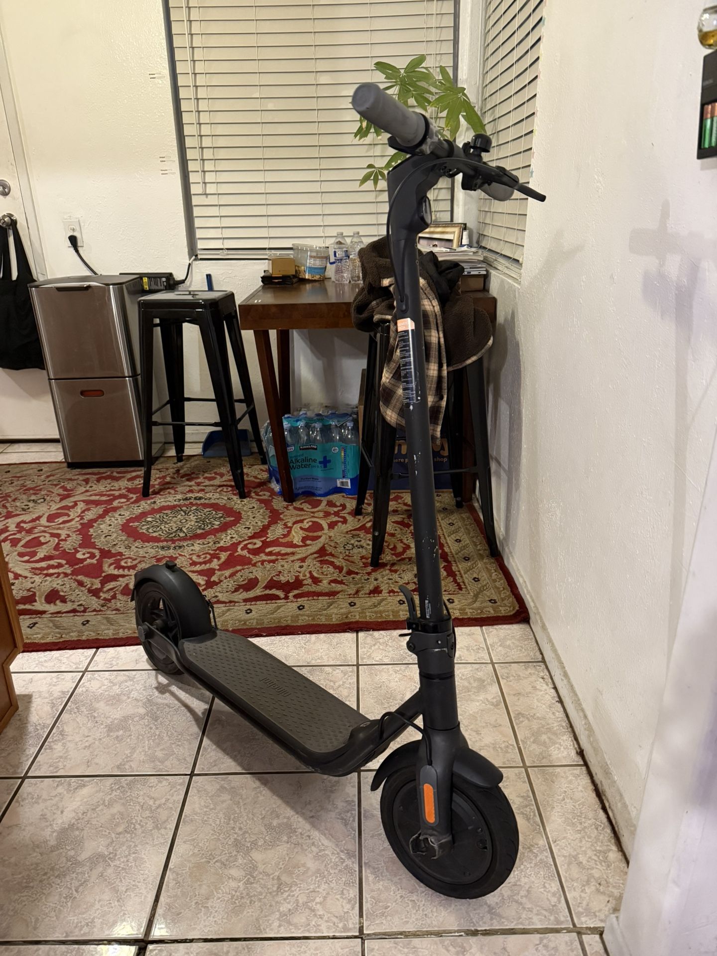 Ninebot Kickscooter F25